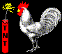 TNT Chicken